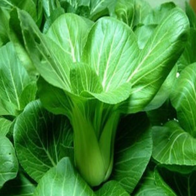 厂家直销有机蔬菜 节日礼盒有机蔬菜盒