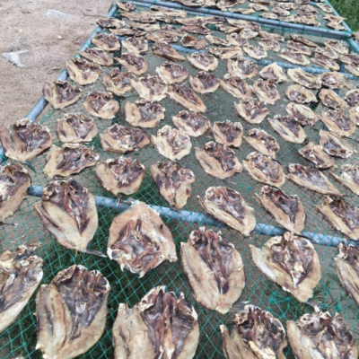 鱼干直接食用咸鱼干500g淡水鱼咸鱼干货农副产品